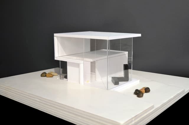 Interior & Architecture Design — Modern Sculpture Gallery